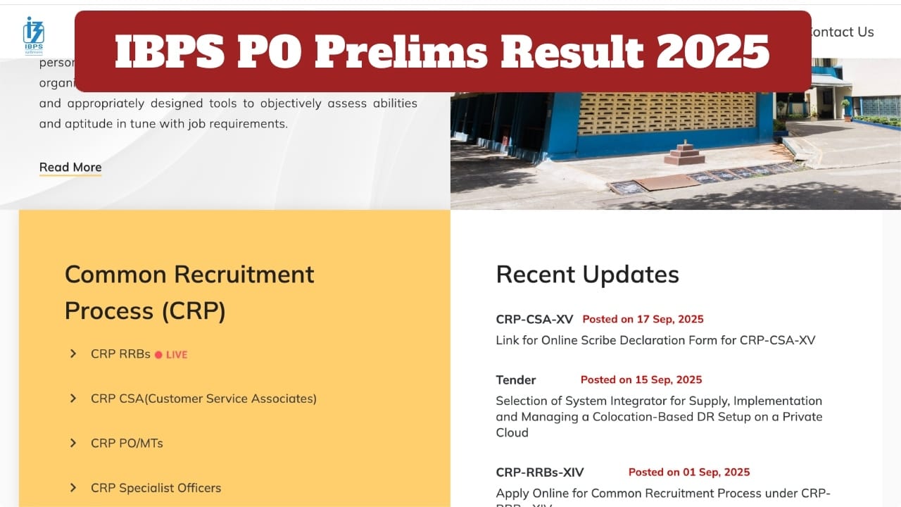 IBPS PO Prelims Result 2025 Date: Check Expected Release, Direct Link at ibps.in